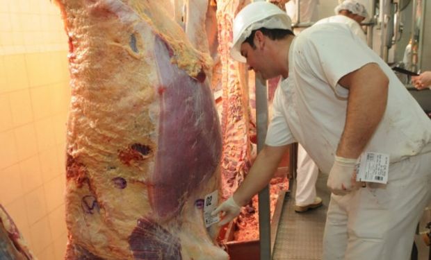 En el caso particular de las carnes vacunas la producción y la oferta alcanzarán los niveles que tuvo una década atrás