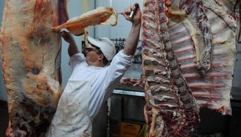 Carnes: prevén US$ 1500 millones adicionales para 2017