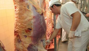 El Mercosur se consolida como el principal proveedor de carne bovina de China
