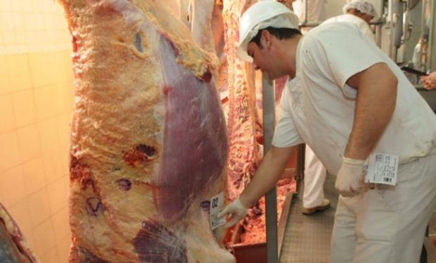 En enero pasado las exportaciones argentinas de cortes frescos bovinos sumaron 11.988 toneladas.