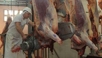 Argentina, afuera del top ten de países exportadores de carne