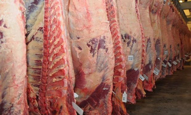 Carnes argentinas listas para viajar al mundo.