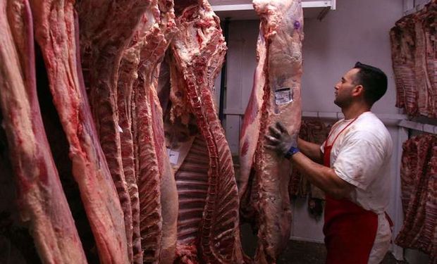 Frigoríficos preocupados.