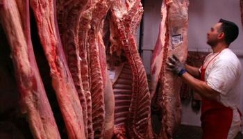 Misión en Asia: buscan agilizar la apertura del mercado coreano