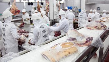 Cadena de la carne: suspenden la matrícula comercial a 10 empresas