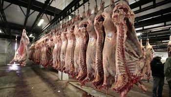 Estados Unidos abrió su mercado a la carne vacuna fresca de Brasil