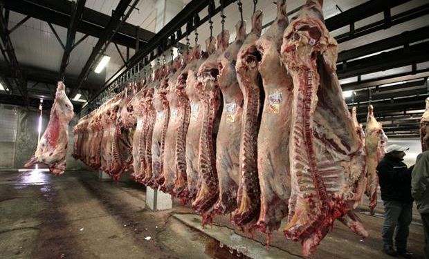 EE.UU. abrió su mercado a la carne vacuna fresca de Brasil.