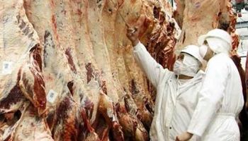 Mejoró 30% la competitividad de la carne argentina en dólares