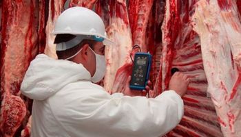 ¿Nuevos mercados para la carne argentina?