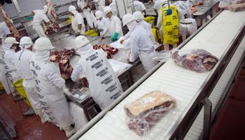 La respuesta oficial del Gobierno a la supuesta detección de Covid-19 en un empaque de carne argentina