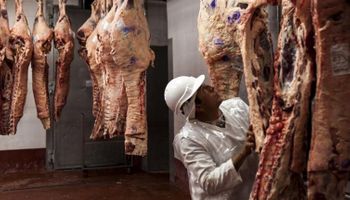 La cadena de la carne también tiene su blanqueo