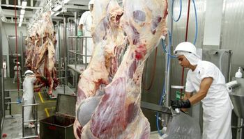 China, un mercado clave para la carne