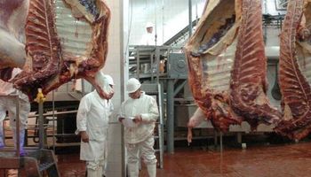 Carnes: reclaman reintegros ante la pérdida de competitividad en las exportaciones