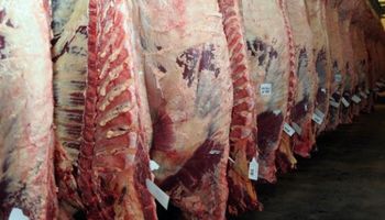 EE.UU. deberá abrir su mercado a la carne argentina