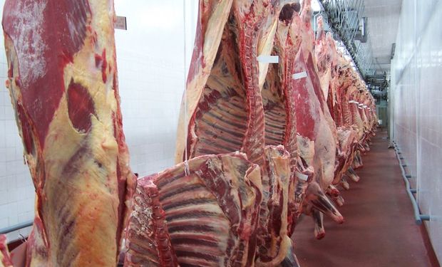 La carne argentina, de reconocida calidad.