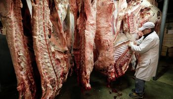 Faena bovina registró la segunda mejor marca en ocho años