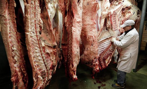 Informe de la Cámara de Industria y Comercio de Carnes.