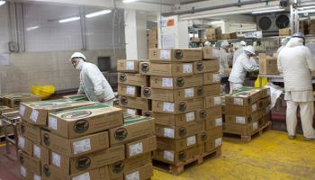 Filipinas aprobó la apertura del mercado a la carne argentina