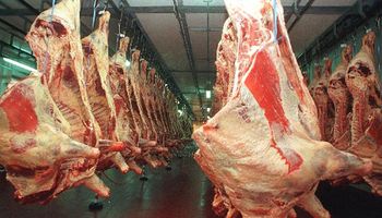 Cayó la exportación de carne en Argentina