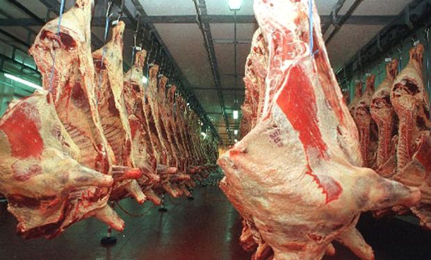 Cayó la exportación de carne en Argentina