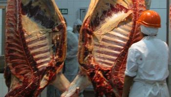 Argentina produce 56 kg de carne por año