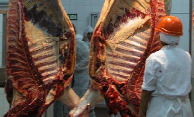 Argentina produce 56 kg de carne por año