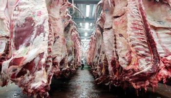 Comercio mundial: se acentúa la caída