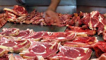 Carne argentina reconocida libre de aftosa