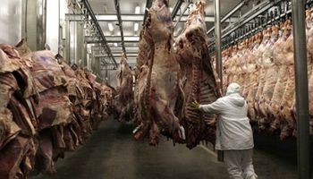 El precio de la carne se mantendría estable