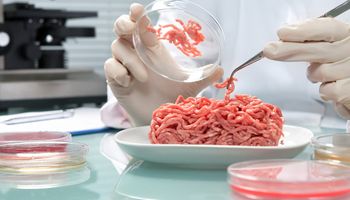 Carne sintética: 10 interrogantes en la era de la producción 4.0