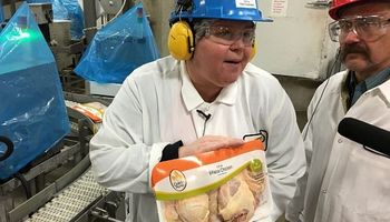 Grupo JBS compró la empresa líder de EE.UU. en pollos