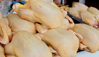 Cayó la producción de carne aviar