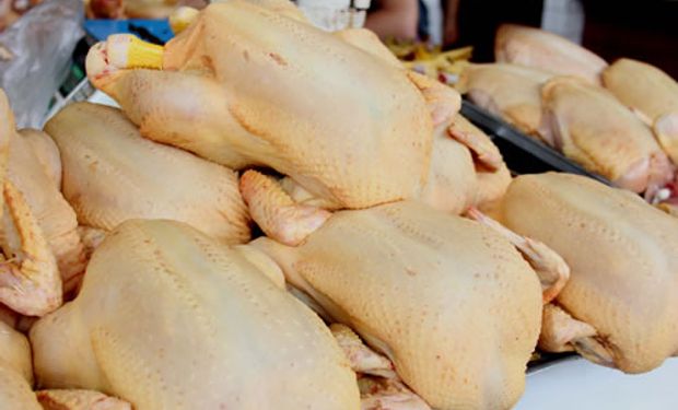 Consumo interno de carne aviar cayó un 5,4%.