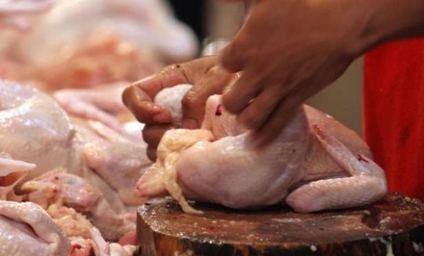 URUGUAY. Producción de carne aviar en 2015 tuvo una baja de 11% respecto a 2014.