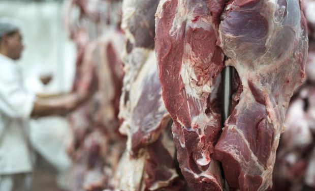 Exportações de carne bovina batem recorde em janeiro; faturamento sobe 11,4%