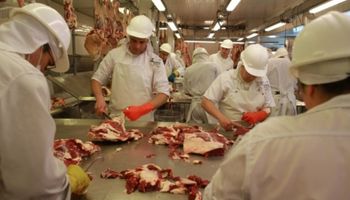 Uruguay: exportación de carne bovina creció 6% en volumen en 2015