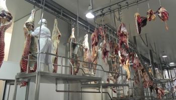 China compró 16% más de carne bovina uruguaya