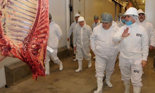El 62% de las ventas cárnicas vacunas registradas en el período corresponde a carne congelada.