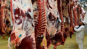 El USDA pone la lupa sobre los envíos de carne brasileña