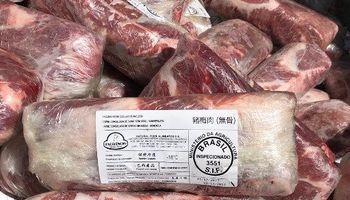 Decomisaron más de 2 mil kilos de bondiola y pollo procedentes de Brasil