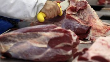 Histórico: Brasil realizó el primer embarque de carne cruda a EE.UU.