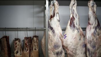 Se derrumbaron las exportaciones de carne de Brasil
