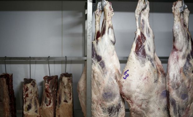 Las exportaciones de carne de Brasil se derrumbaron.