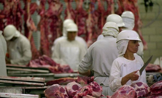 También crecerá fuerte en los embarques de animales vivos.