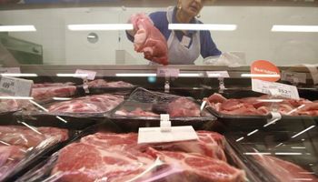 En julio Uruguay fue principal exportador de carne a China