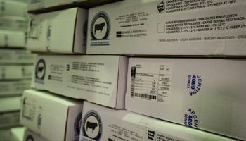 1 en 1.000.000.000.000: el "insignificante" riesgo y la remota chance de que haya coronavirus en un envío de carne argentina