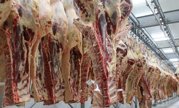 Crisis china presiona el precio de la carne.