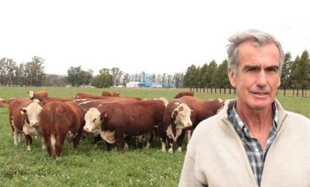 Horacio Esteves junto a un lote de toros. Al fondo, los silos de arroz.