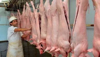 Creció 135% la importación de carne de cerdo en el primer bimestre del año
