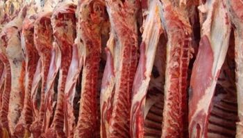 Estados Unidos quiere negociar la exportación de carne porcina